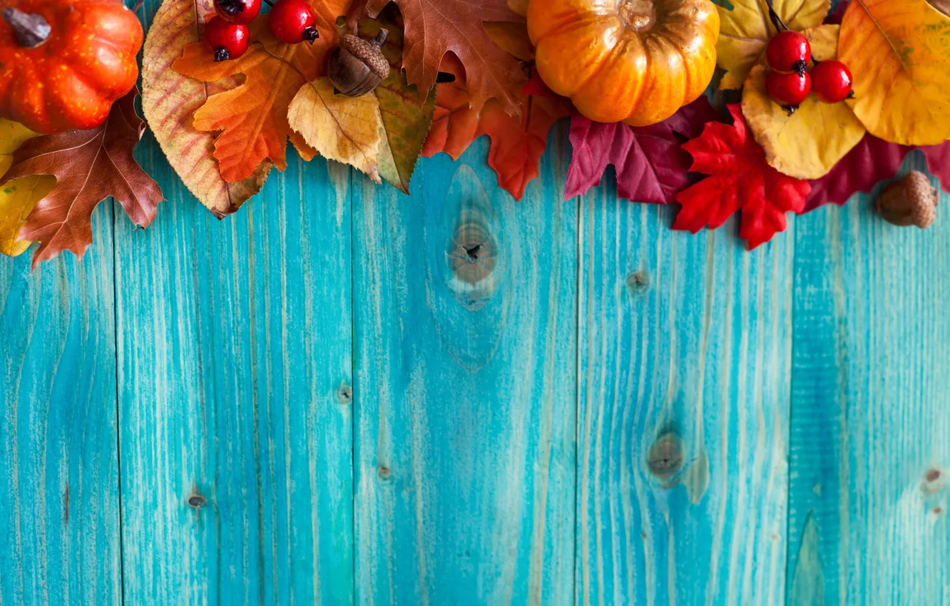 Photo wallpaper autumn, leaves, trees, berries, harvest, pumpkin, acorns