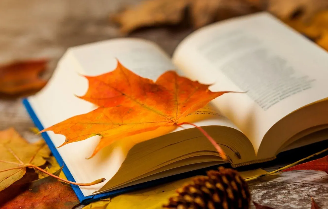 Photo wallpaper autumn, nature, book, maple leaf, pine cone