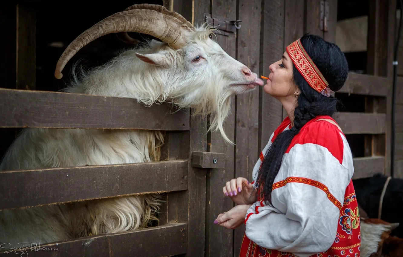 Photo wallpaper girl, goat, photoshoot, Sergey Rehob