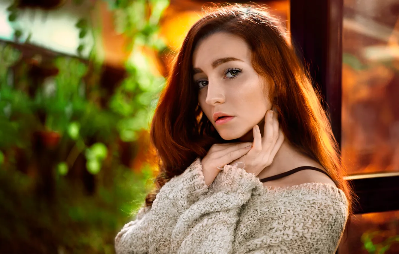 Photo wallpaper sponge, redhead, Vladislav Masko