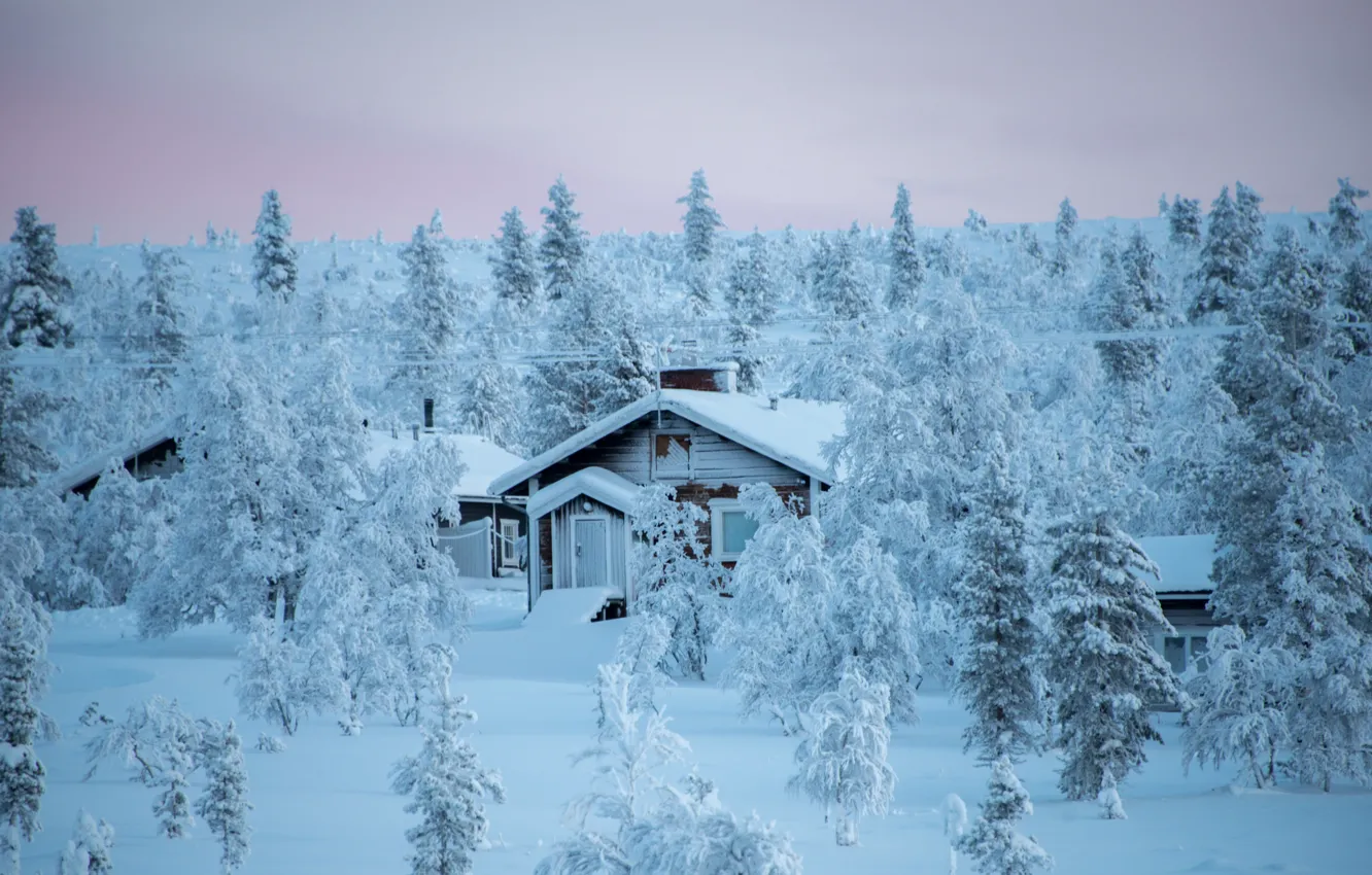 Photo wallpaper winter, forest, snow, trees, landscape, nature, home, Finland