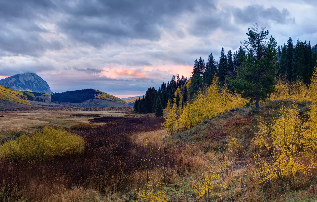 Photo wallpaper field, autumn, forest, trees, mountains