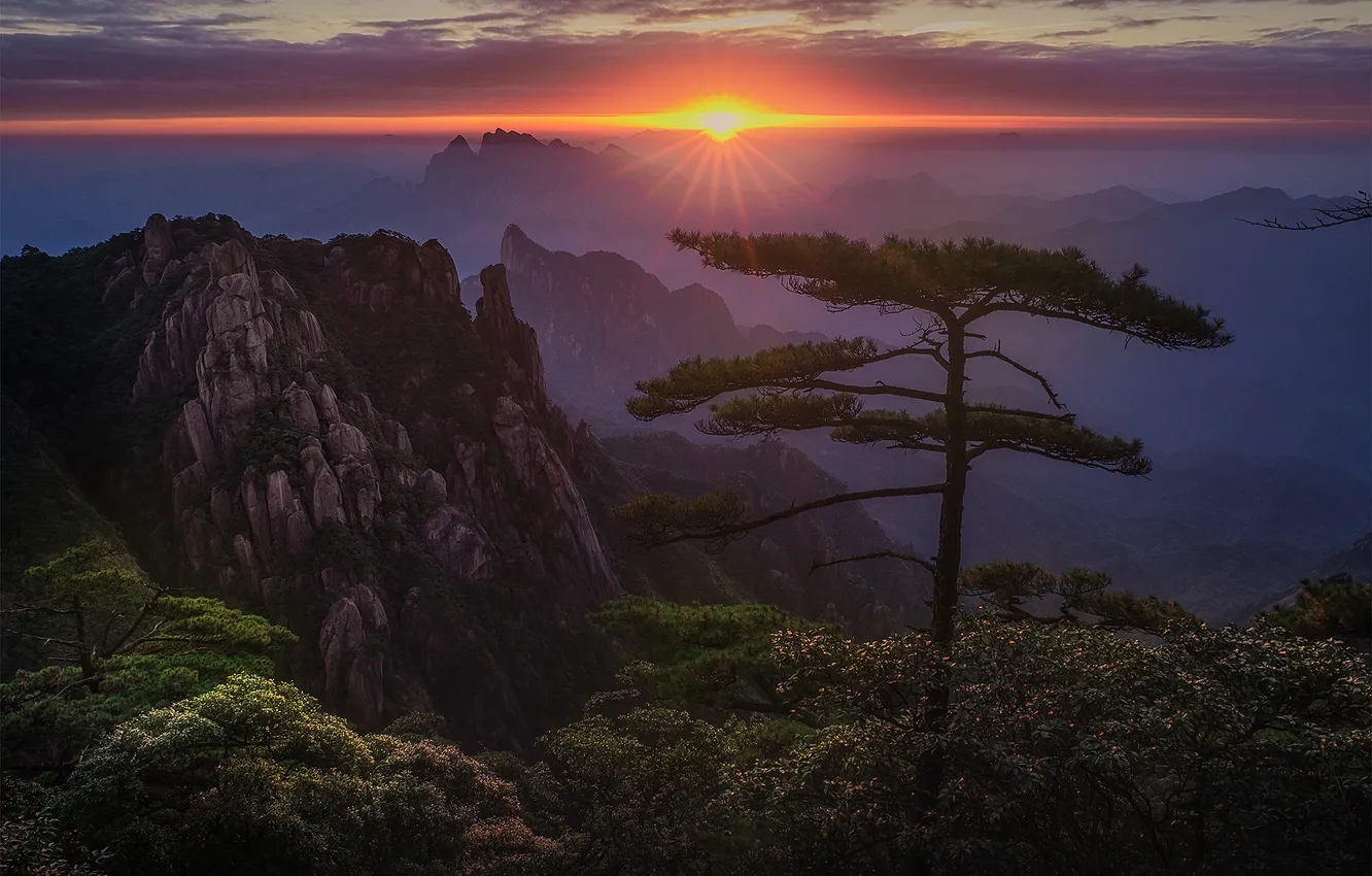 Photo wallpaper the sun, clouds, rays, trees, sunset, mountains, fog, rocks