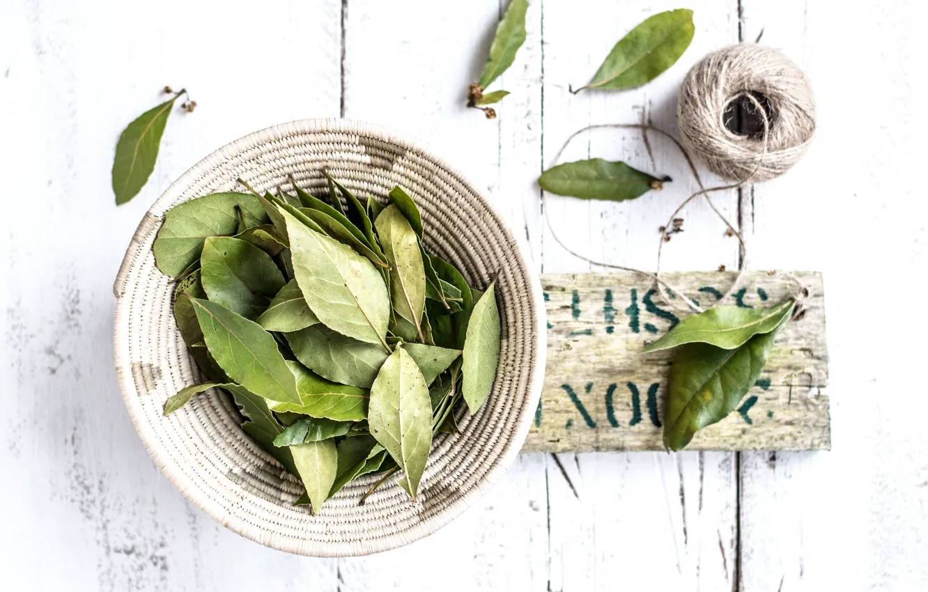 Photo wallpaper leaves, plant, food, seasoning, Bay leaf