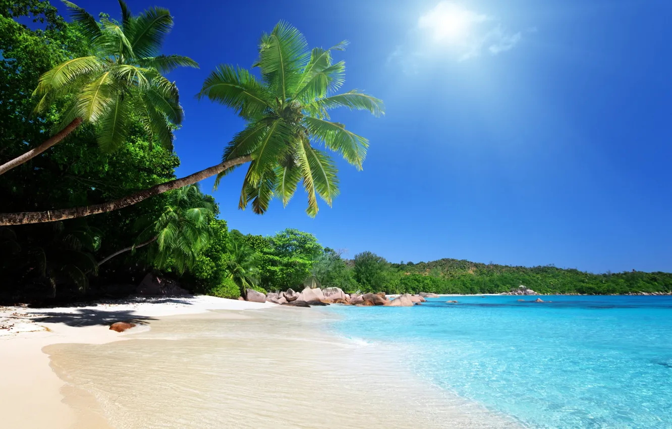 Photo wallpaper sand, sea, beach, the sun, palm trees