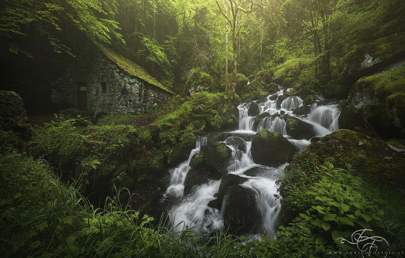 Photo wallpaper forest, nature, river, waterfall, house