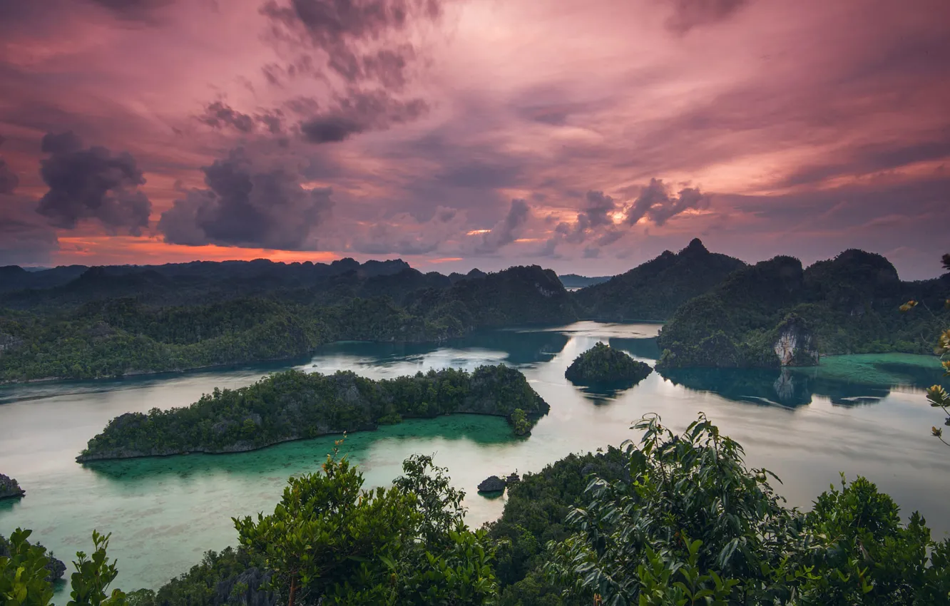 Photo wallpaper forest, the sky, leaves, clouds, mountains, clouds, rocks, hills