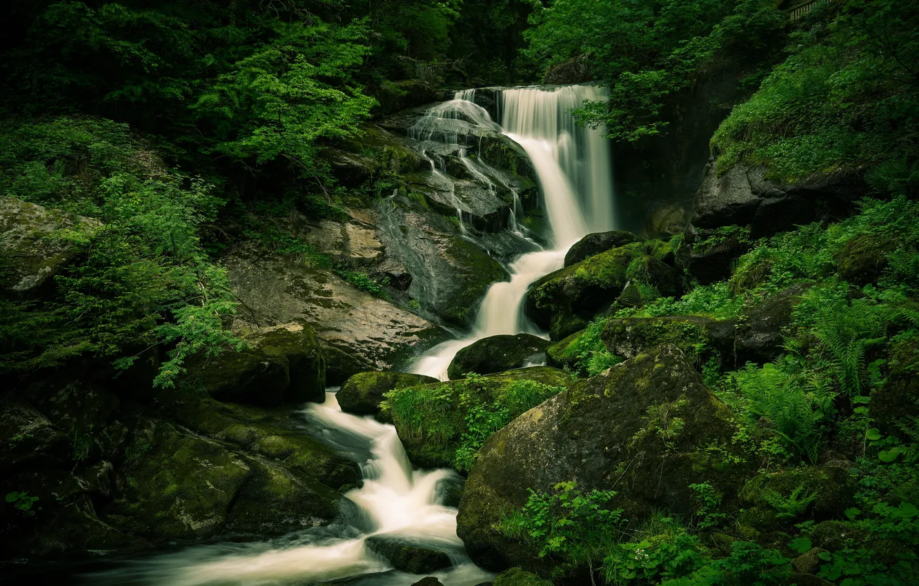 Photo wallpaper forest, stones, waterfall, boulders