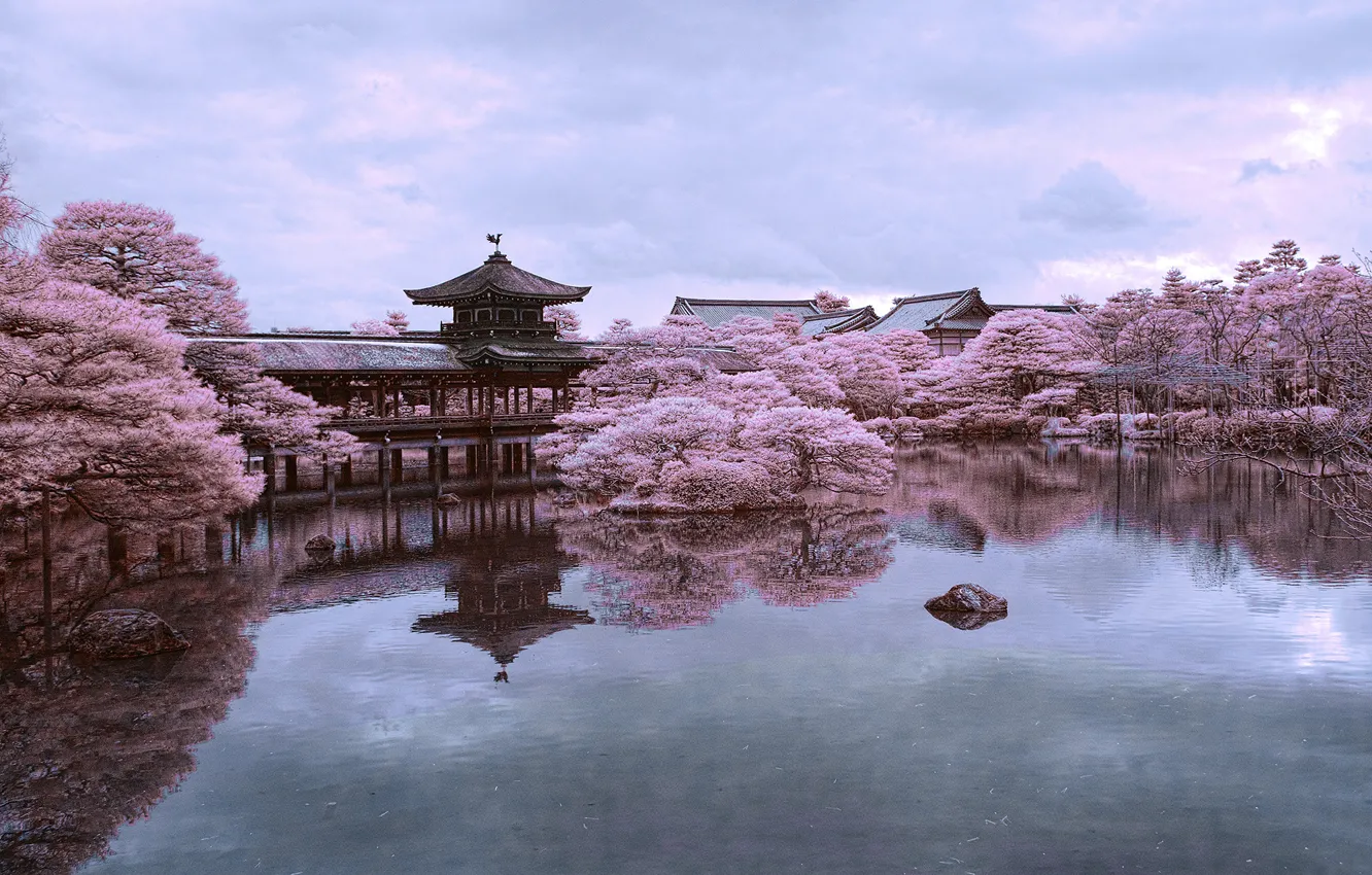 Photo wallpaper pond, reflection, Japan, Sakura, Kyoto