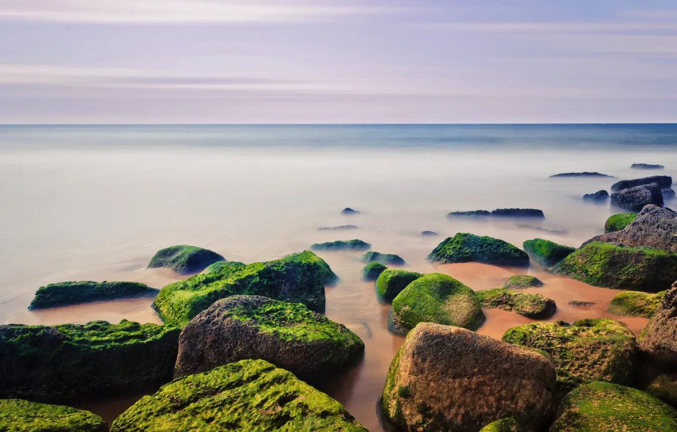 Photo wallpaper sand, sea, beach, the sky, algae, stones, shore, moss