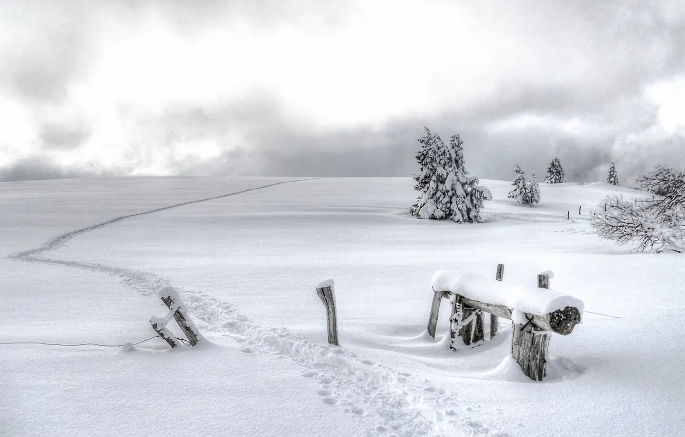 Photo wallpaper winter, field, snow, landscape