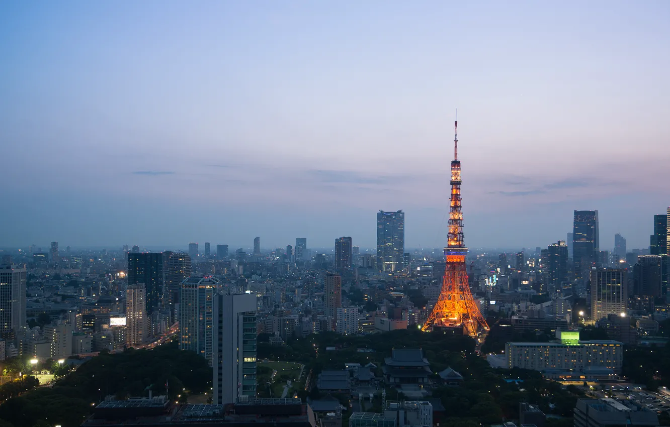 Photo wallpaper lights, tower, home, the evening, Tokyo, twilight