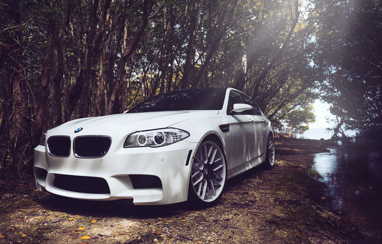 Photo wallpaper white, bmw, BMW, white, f10