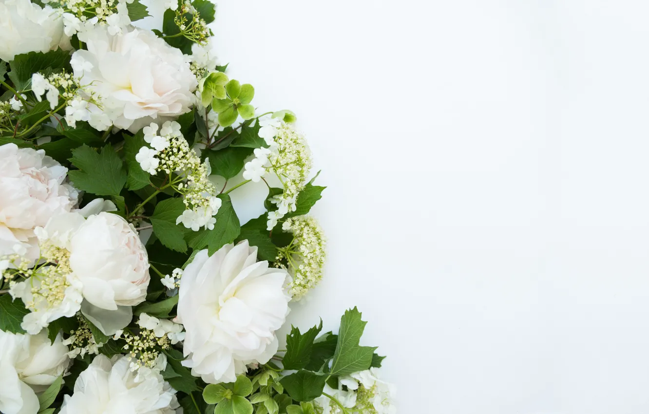 Photo wallpaper flowers, background, bouquet, frame, Flowers, bundle