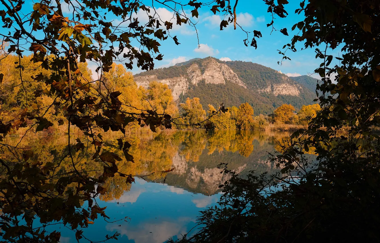 Photo wallpaper autumn, forest, the sky, clouds, trees, mountains, branches, reflection