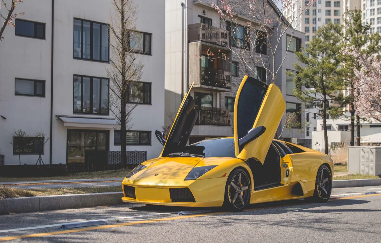 Photo wallpaper Lamborghini, Murcielago, Yellow