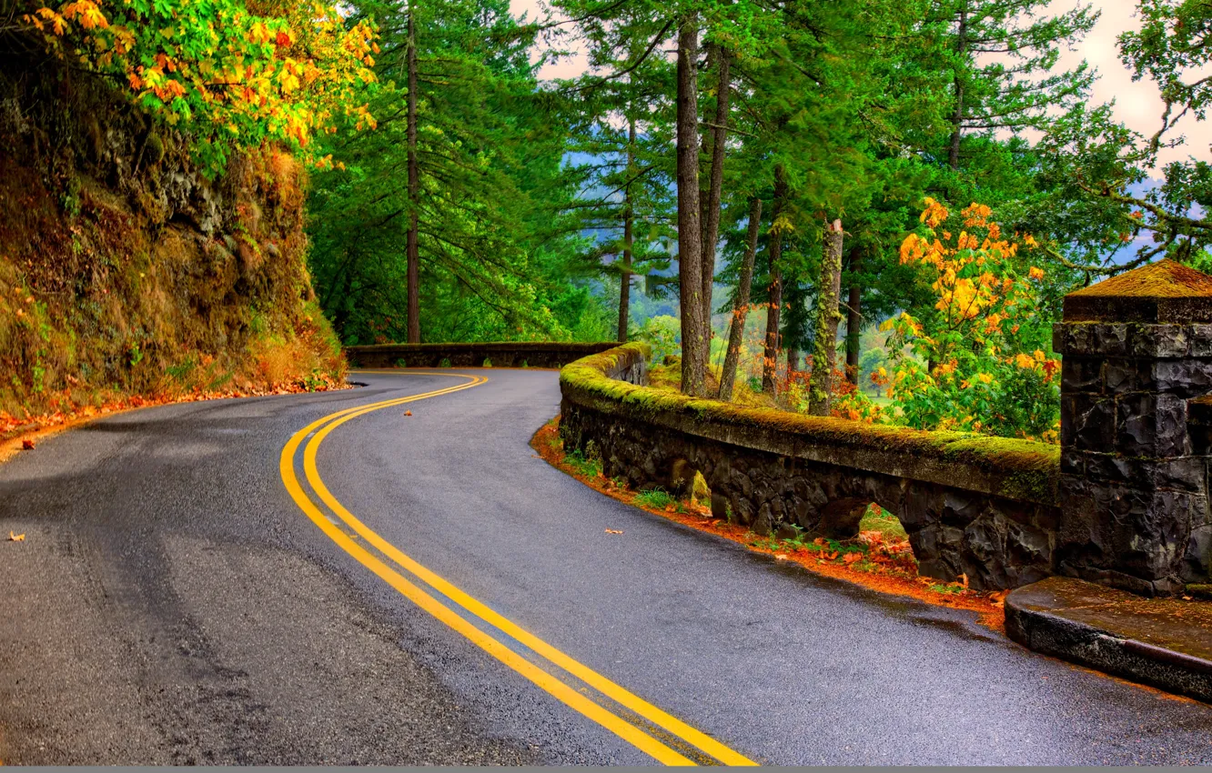 Photo wallpaper road, autumn, leaves, nature, mountain, colors, colorful, road