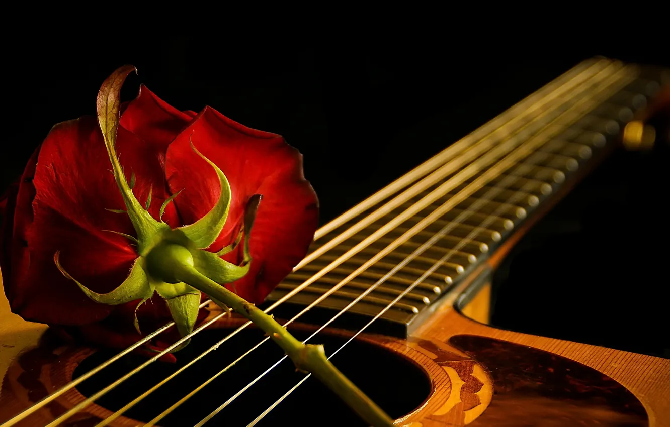 Photo wallpaper music, rose, guitar