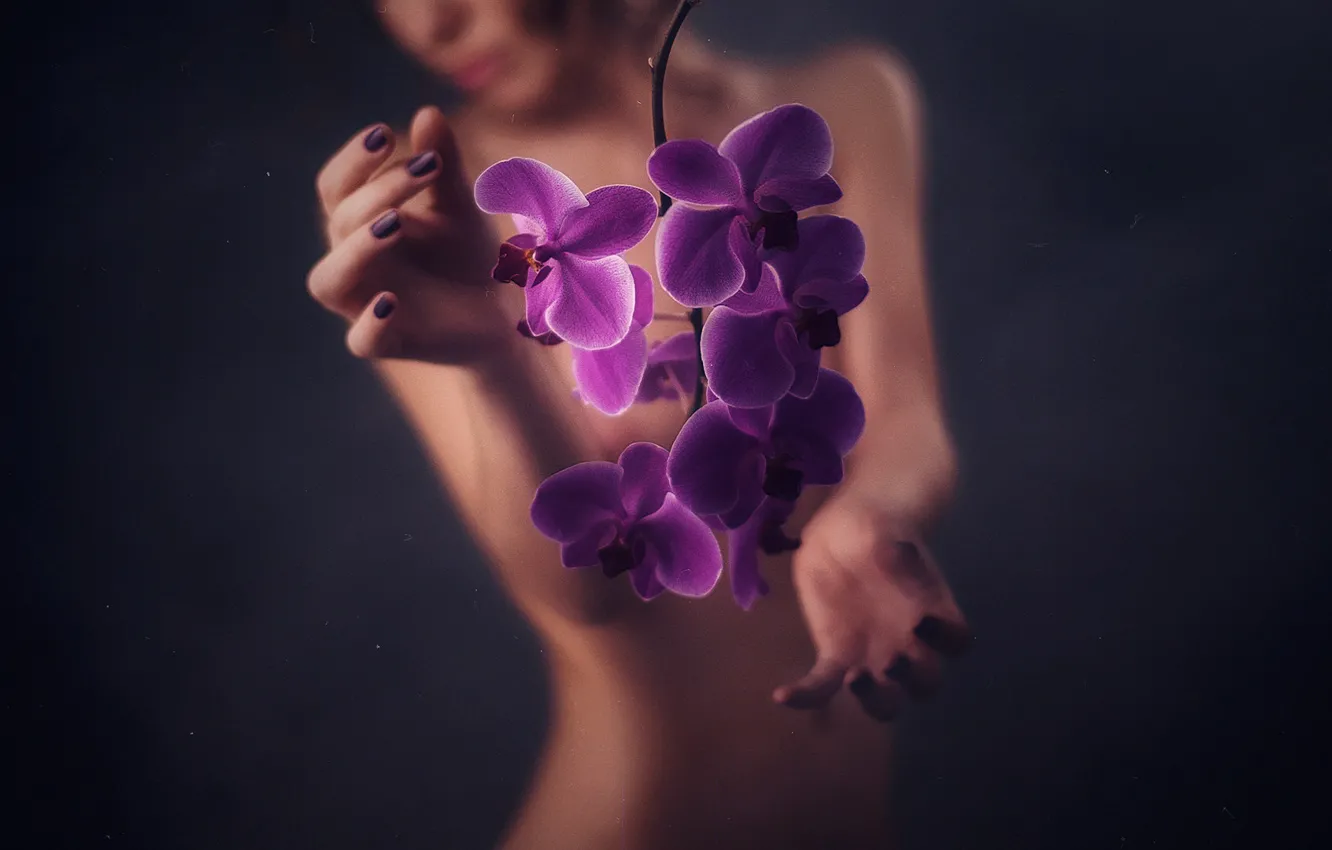Photo wallpaper BODY, GIRL, HANDS, FLOWERS, SILHOUETTE, ORCHIDS