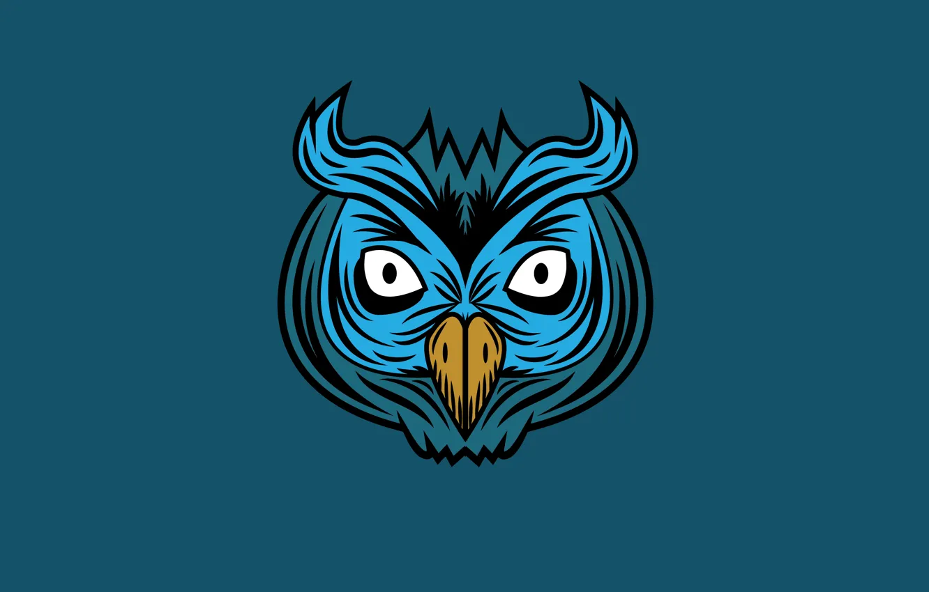 Photo wallpaper owl, bird, minimalism, head, blue background, owl