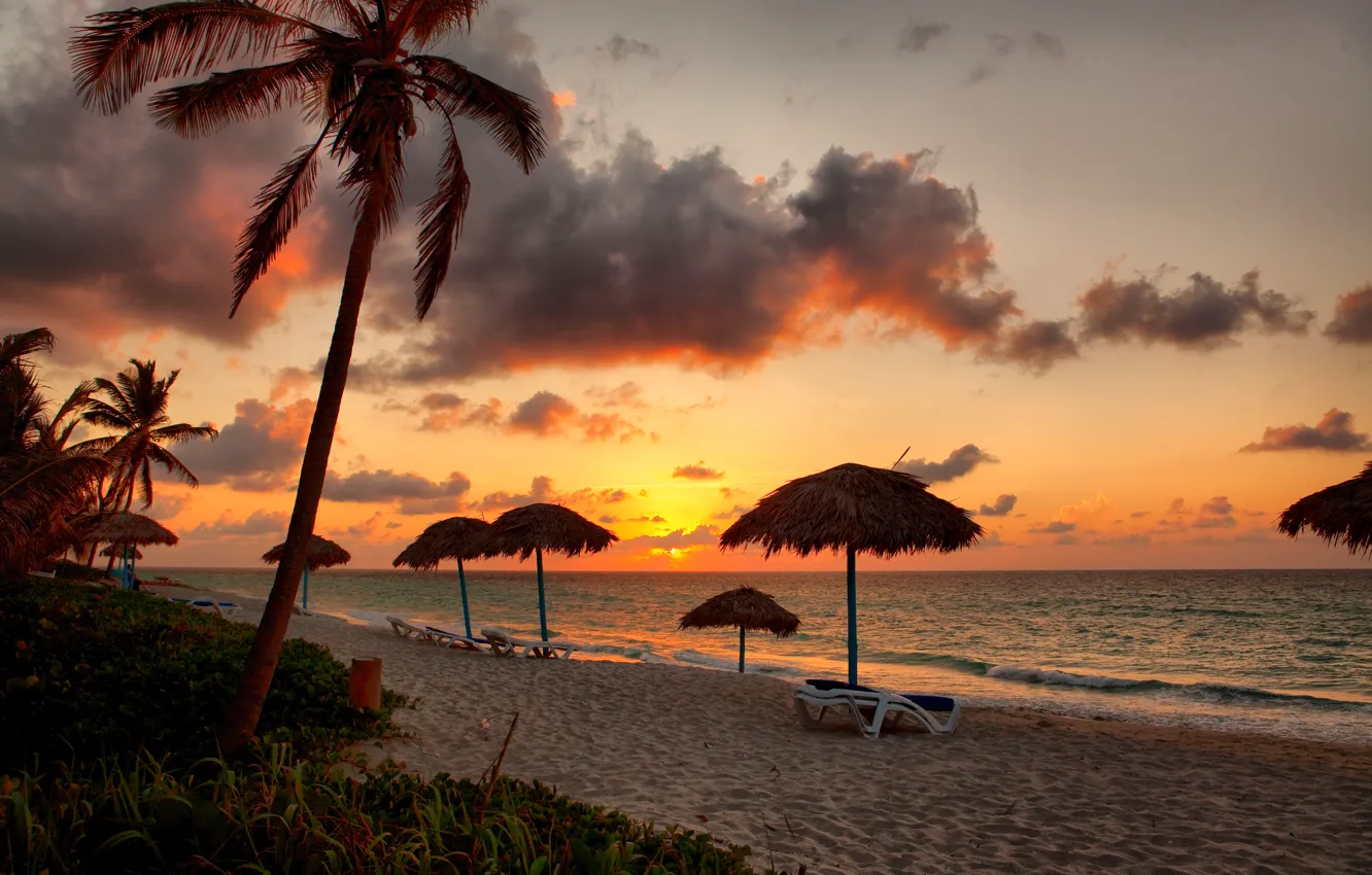 Photo wallpaper sand, sea, beach, sunset, palm trees, shore, beach, sea