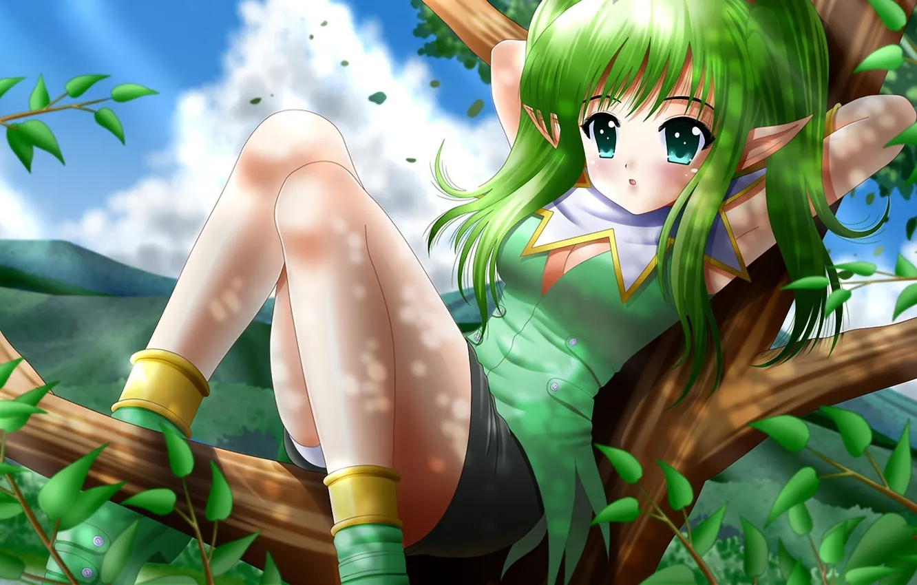 Photo wallpaper leaves, girl, trees, branches, elf, art, ears, elf