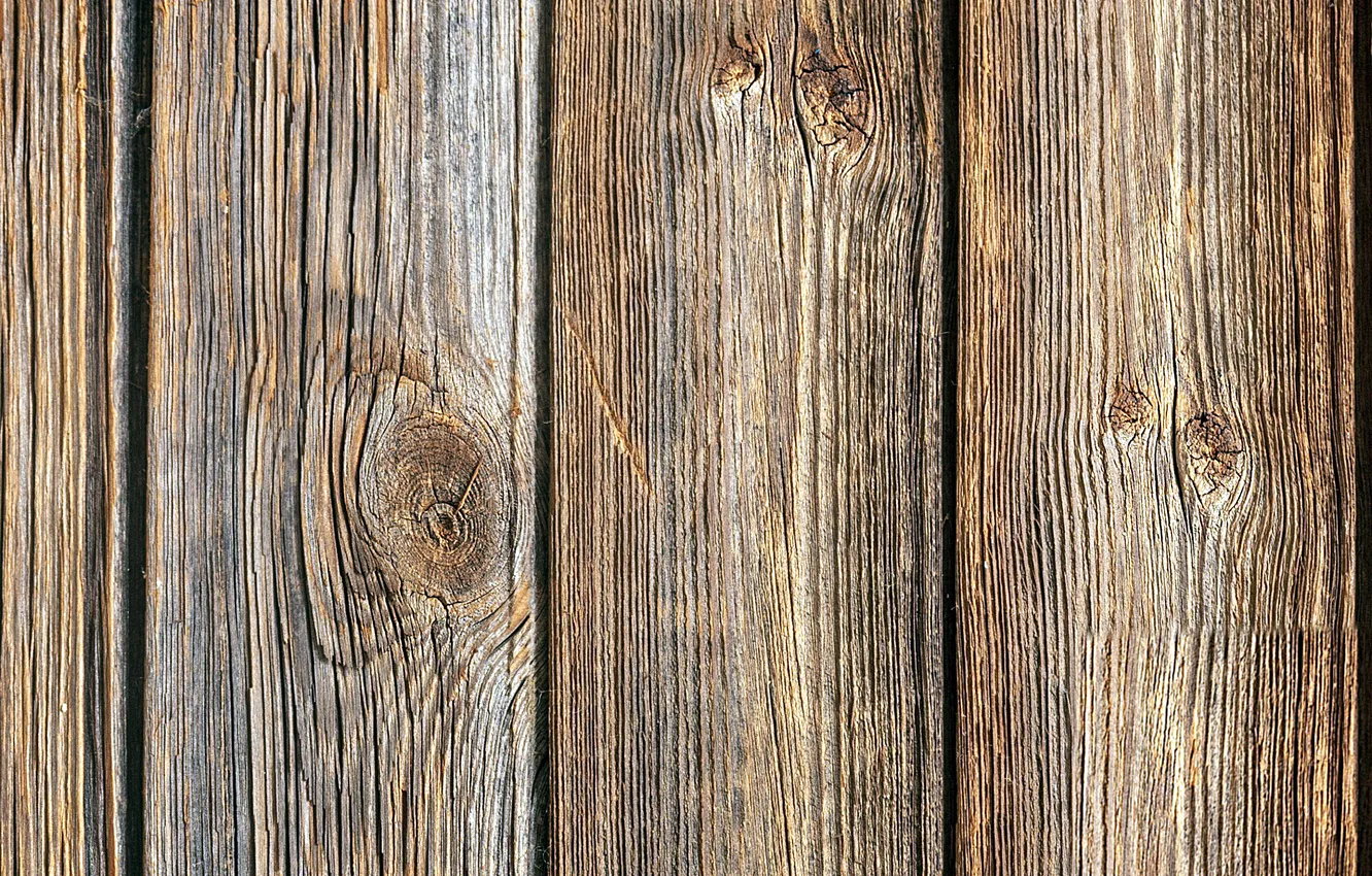 Photo wallpaper trees, Board, texture