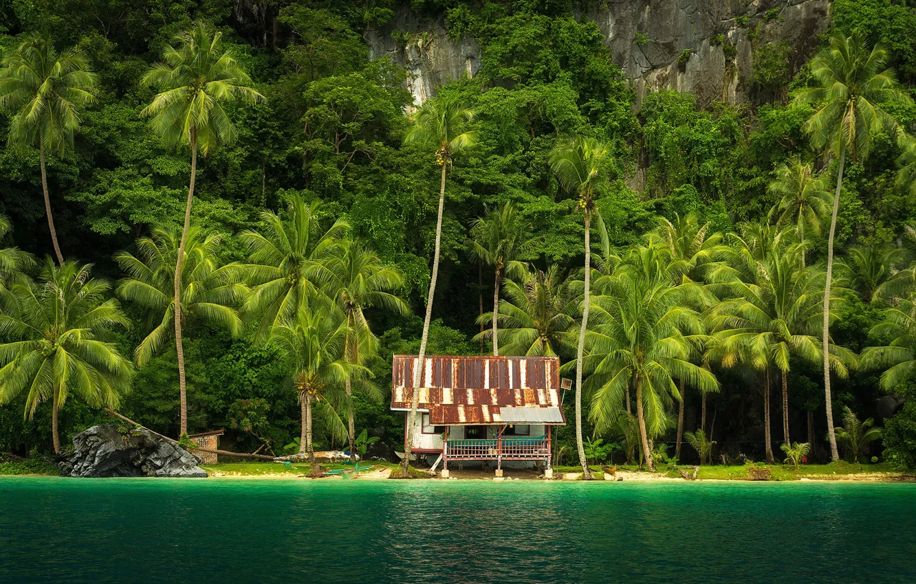 Photo wallpaper sea, greens, trees, tropics, palm trees, rocks, shore, house