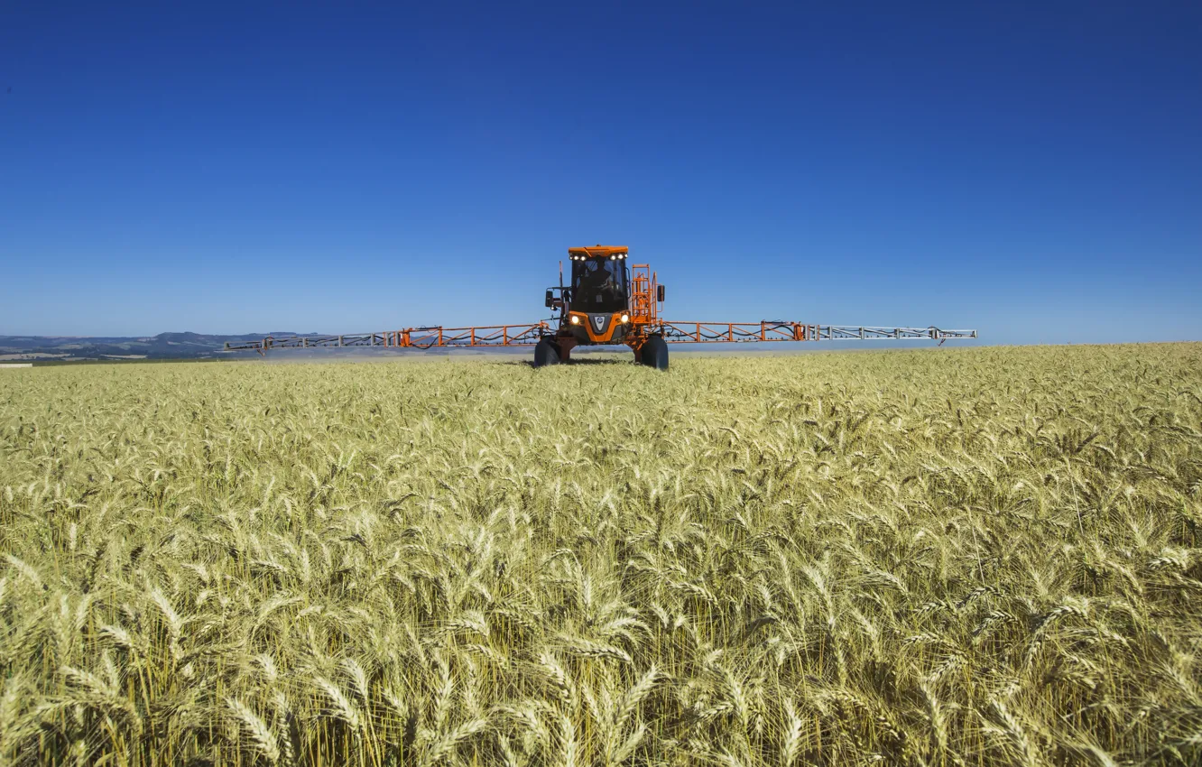 Photo wallpaper wheat, agriculture, jacto