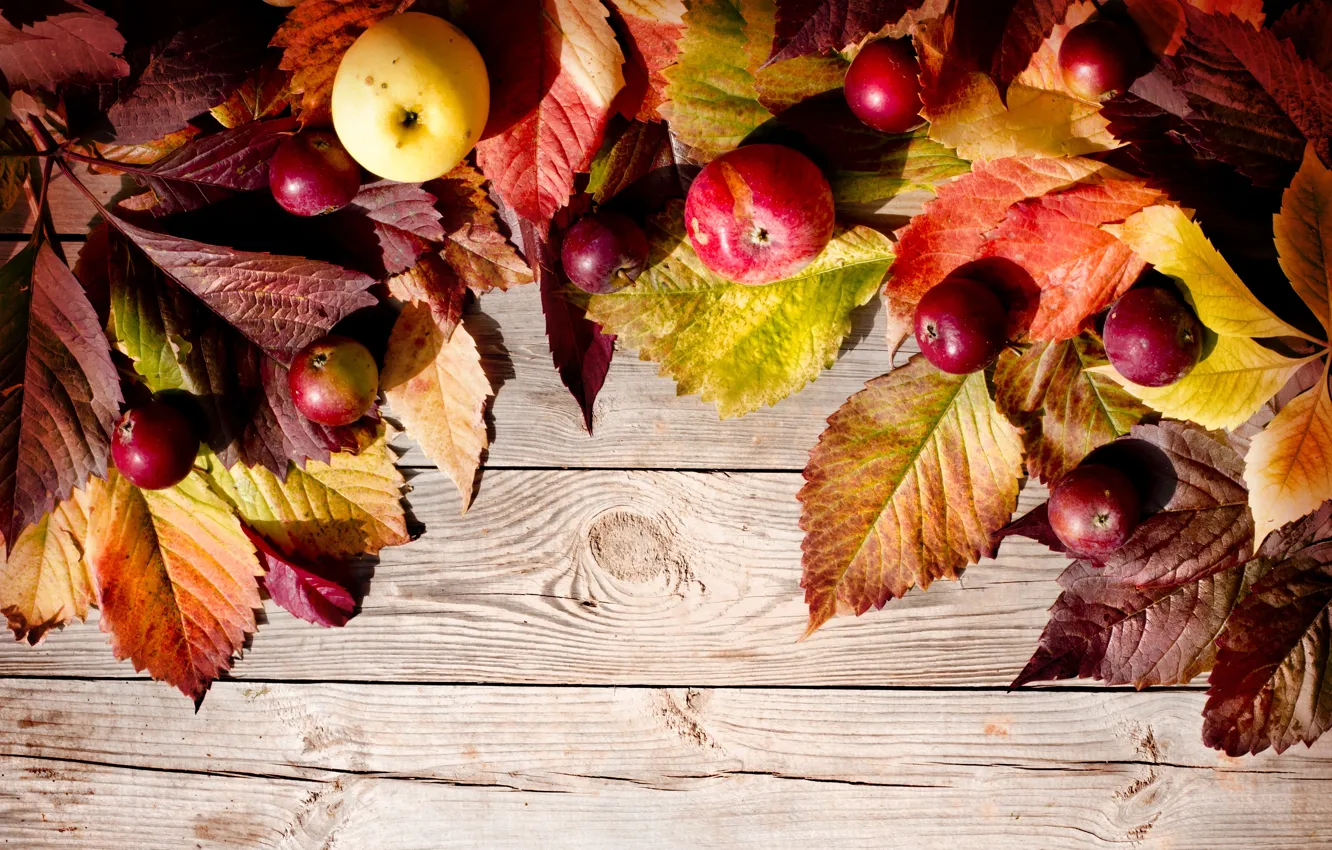 Photo wallpaper autumn, leaves, apples, autumn, leaves, apples