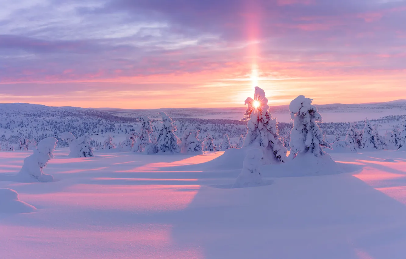 Photo wallpaper Sunset, The sun, Winter, Snow, Tree