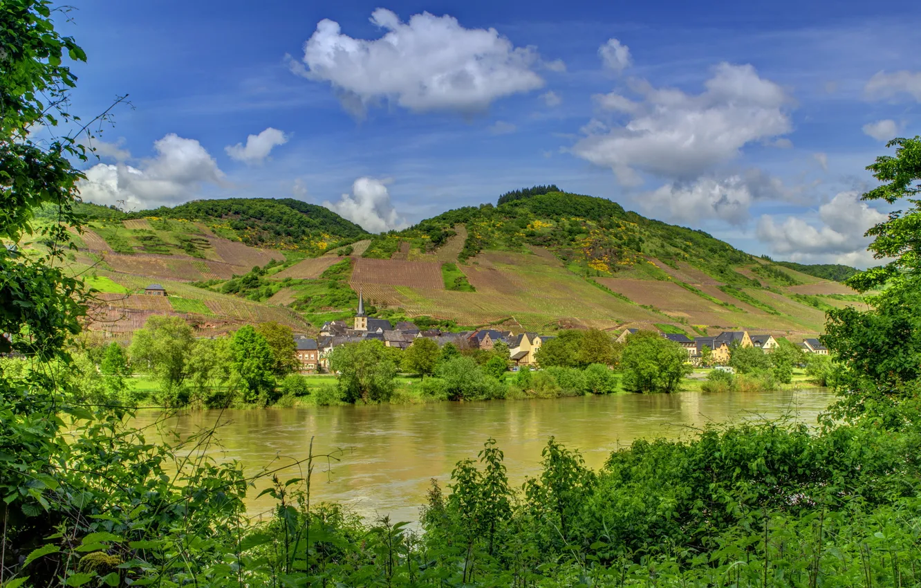 Photo wallpaper forest, mountains, the city, river, photo, shore, Germany, Ediger-Eller