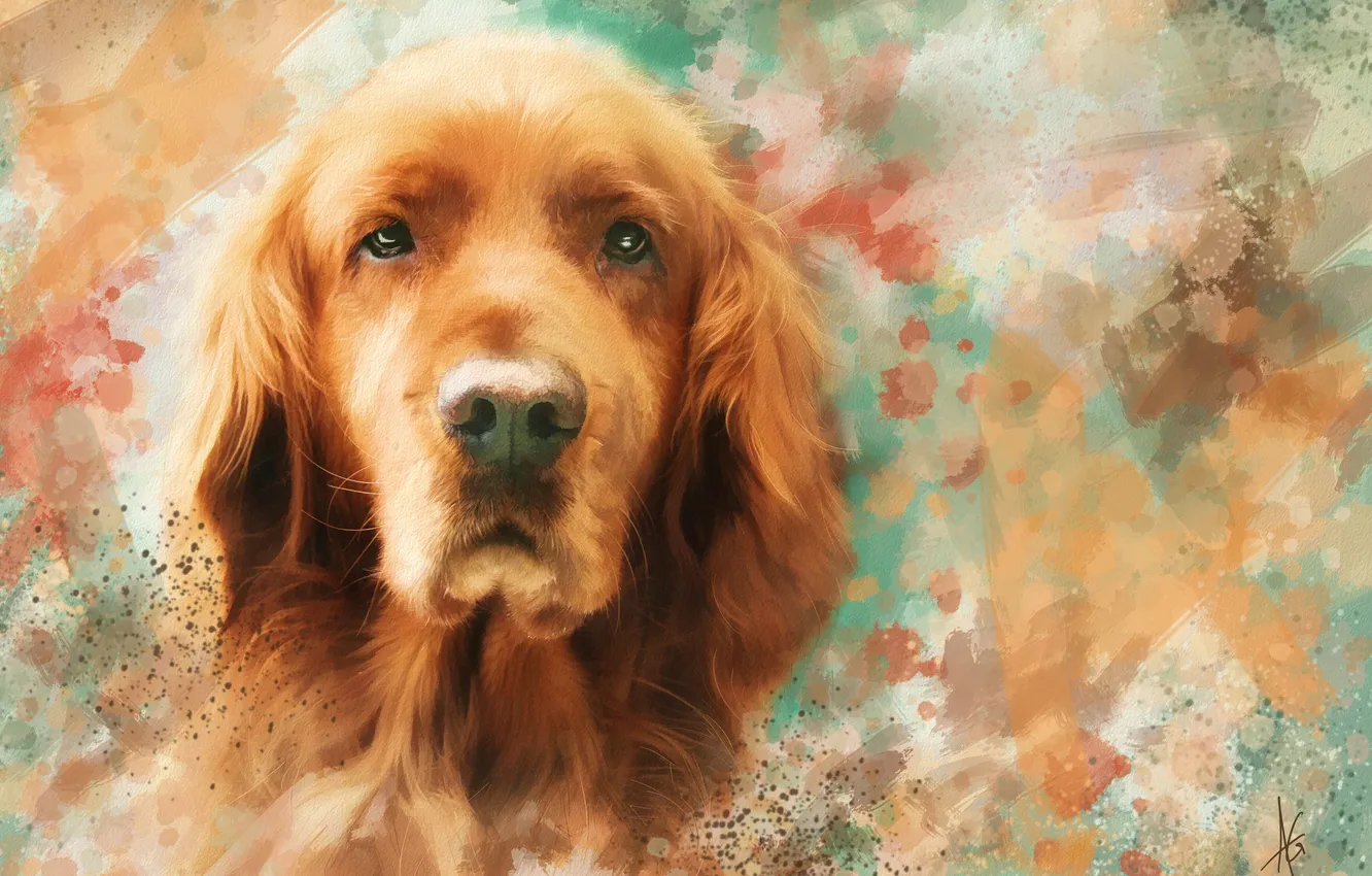 Photo wallpaper face, figure, portrait, dog, picture, red, painting, strokes