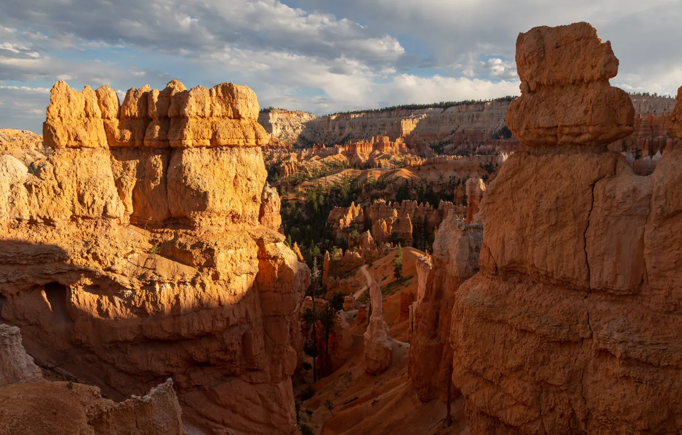 Photo wallpaper nature, rocks, canyon, canyon, National Park, Bryce