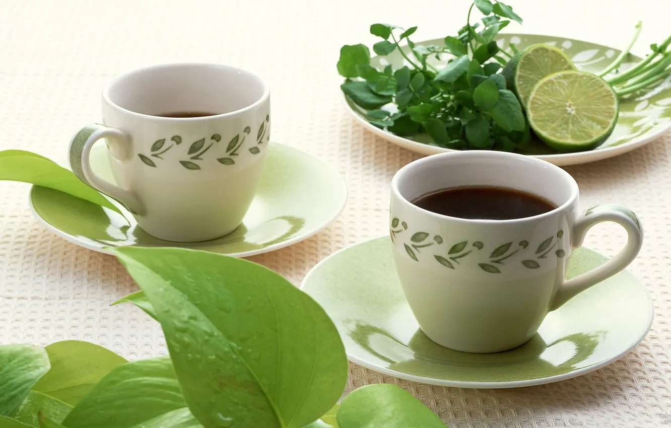 Photo wallpaper tea, lime, mint