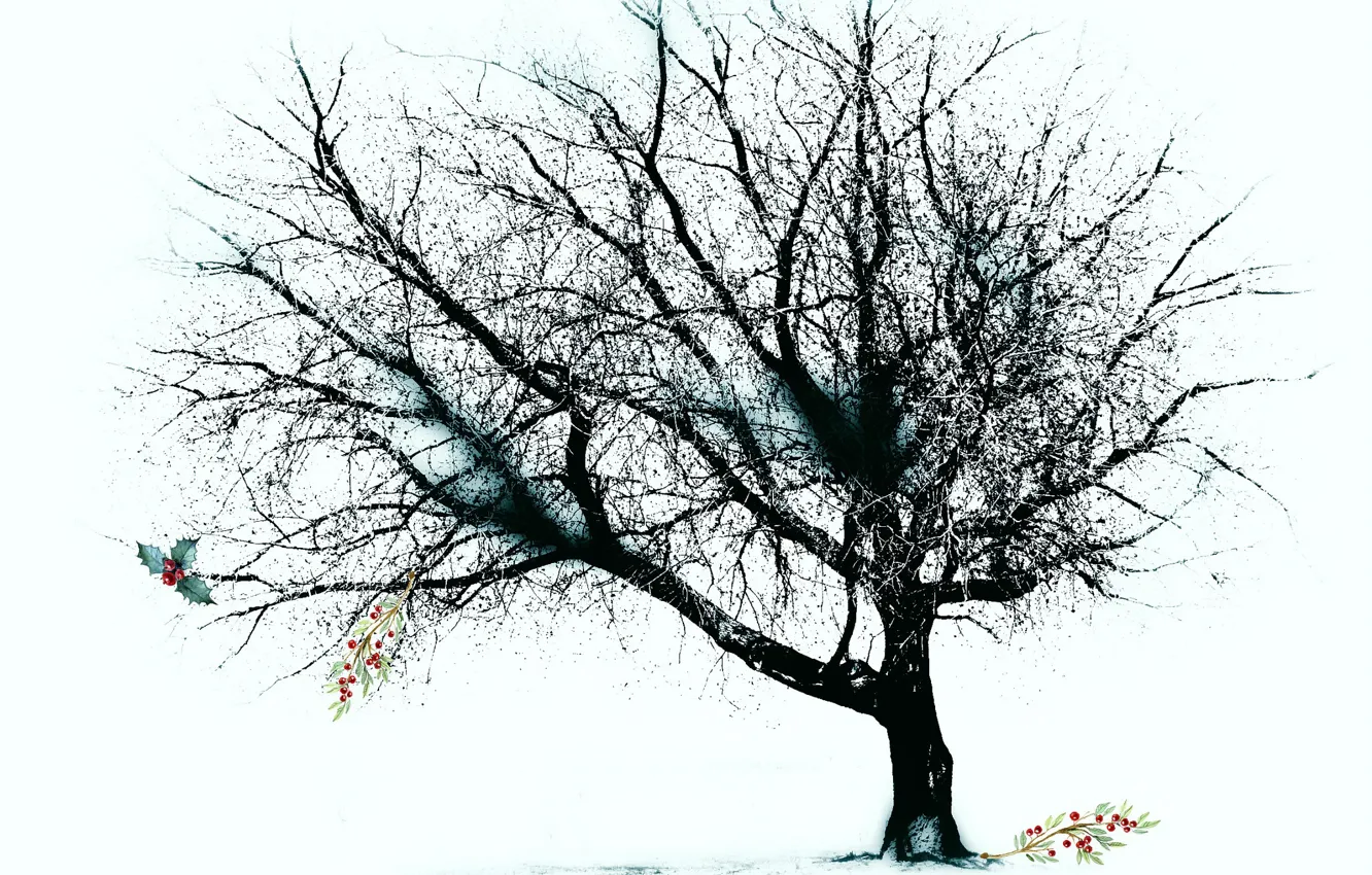 Photo wallpaper trees, nature, background