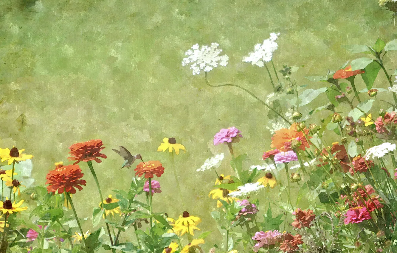 Photo wallpaper flowers, bird, texture, meadow, Hummingbird