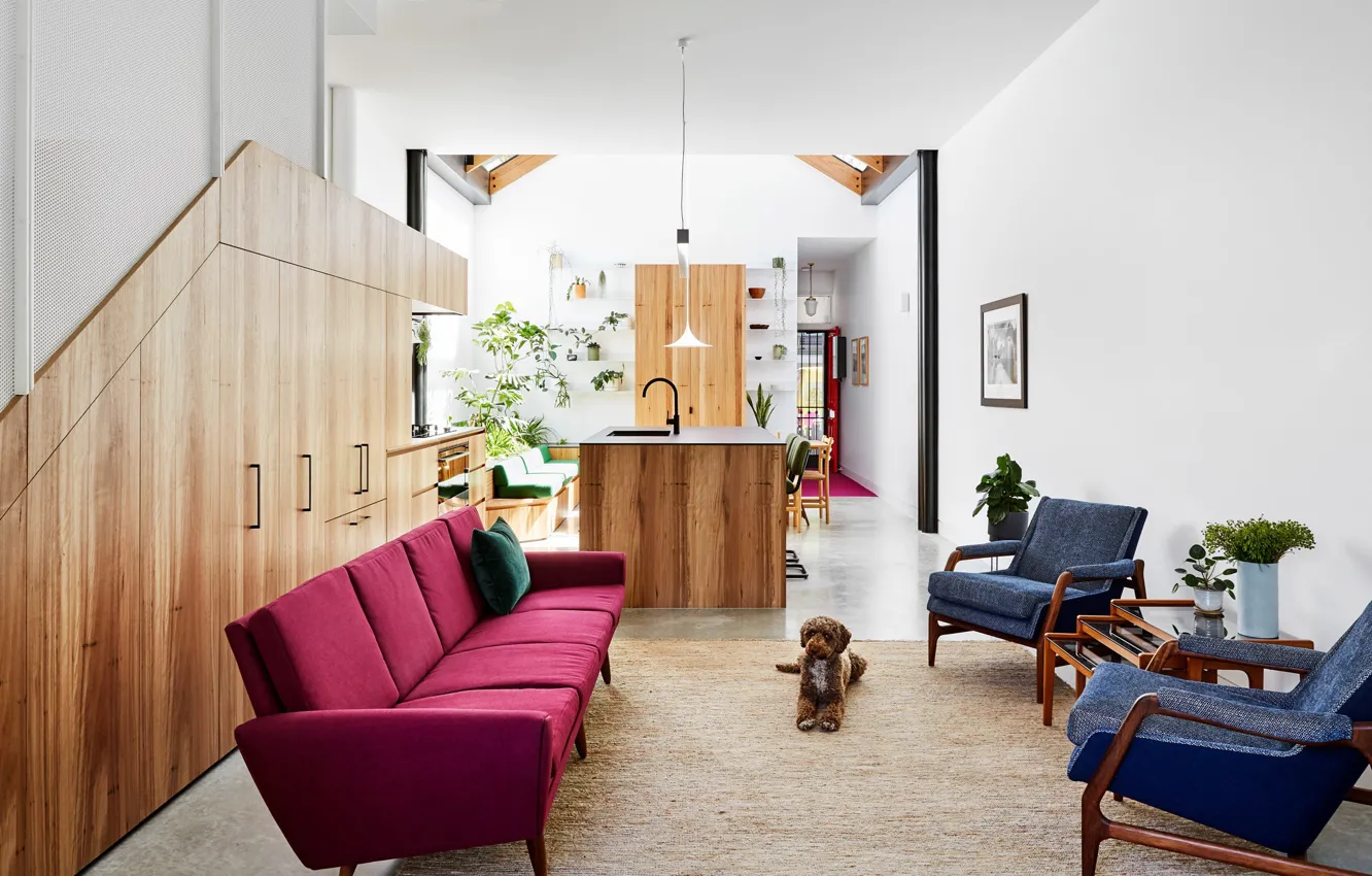 Photo wallpaper design, style, interior, kitchen, Austin, Austin, living room, Texas