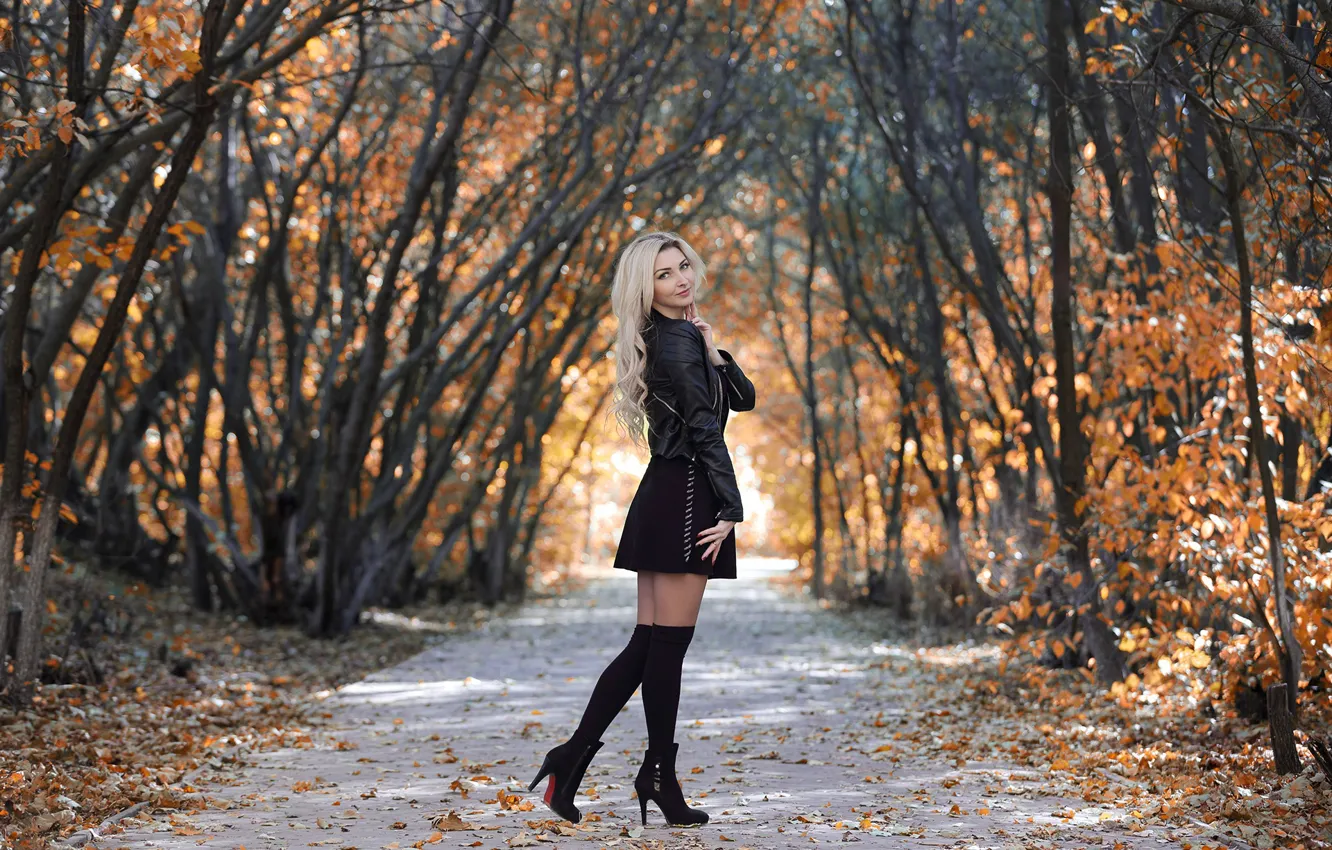 Photo wallpaper autumn, trees, pose, blonde, alley, gesture, trees, beautiful girl