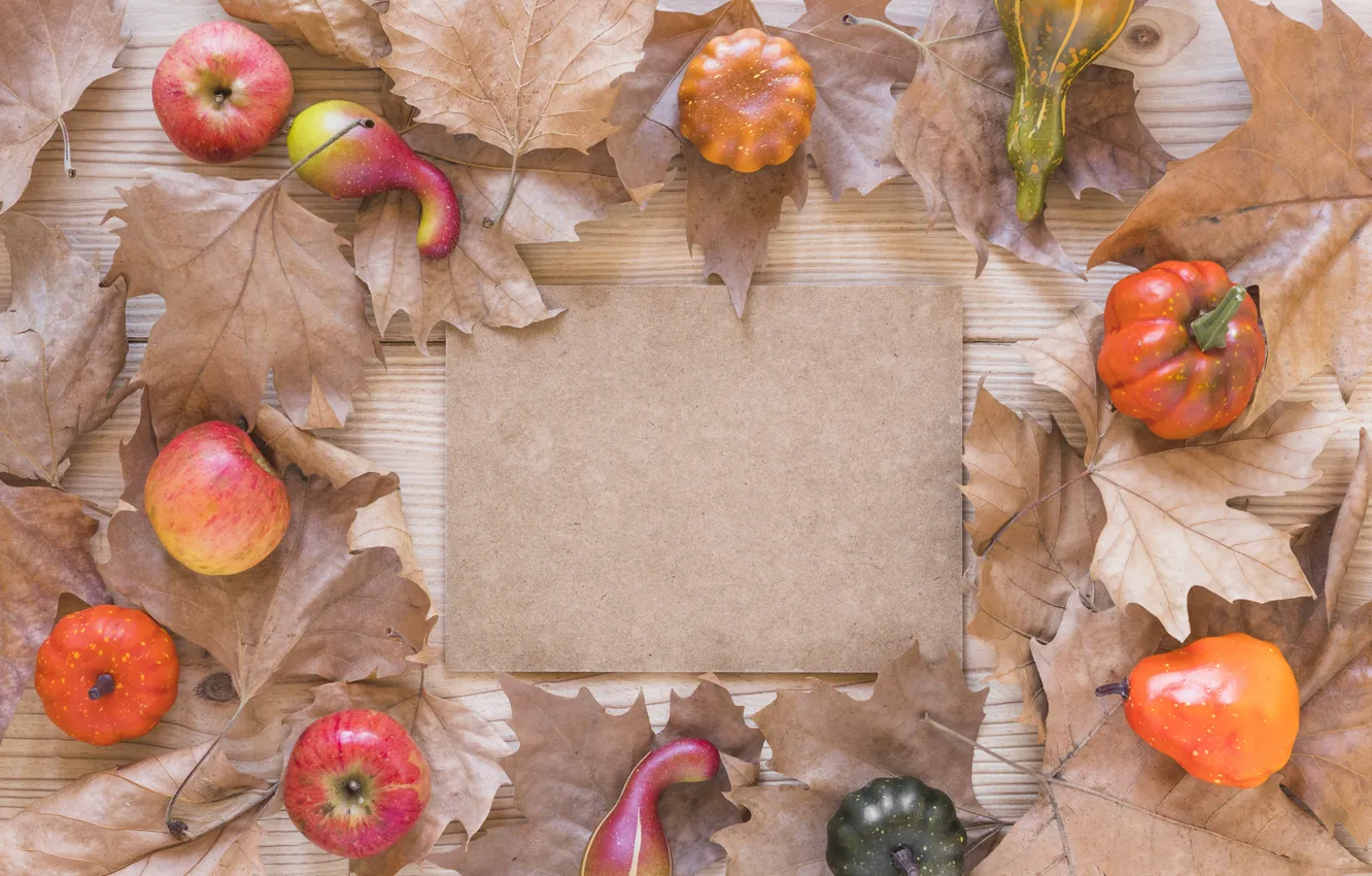 Photo wallpaper autumn, leaves, background, apples, Board, colorful, pumpkin, maple