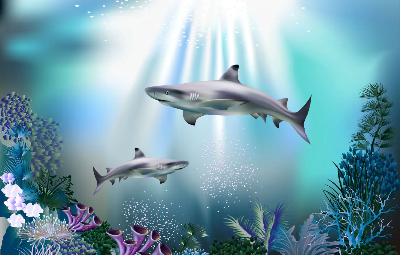 Photo wallpaper sea, bubbles, blue, corals, sharks, underwater world, under water, rays of light