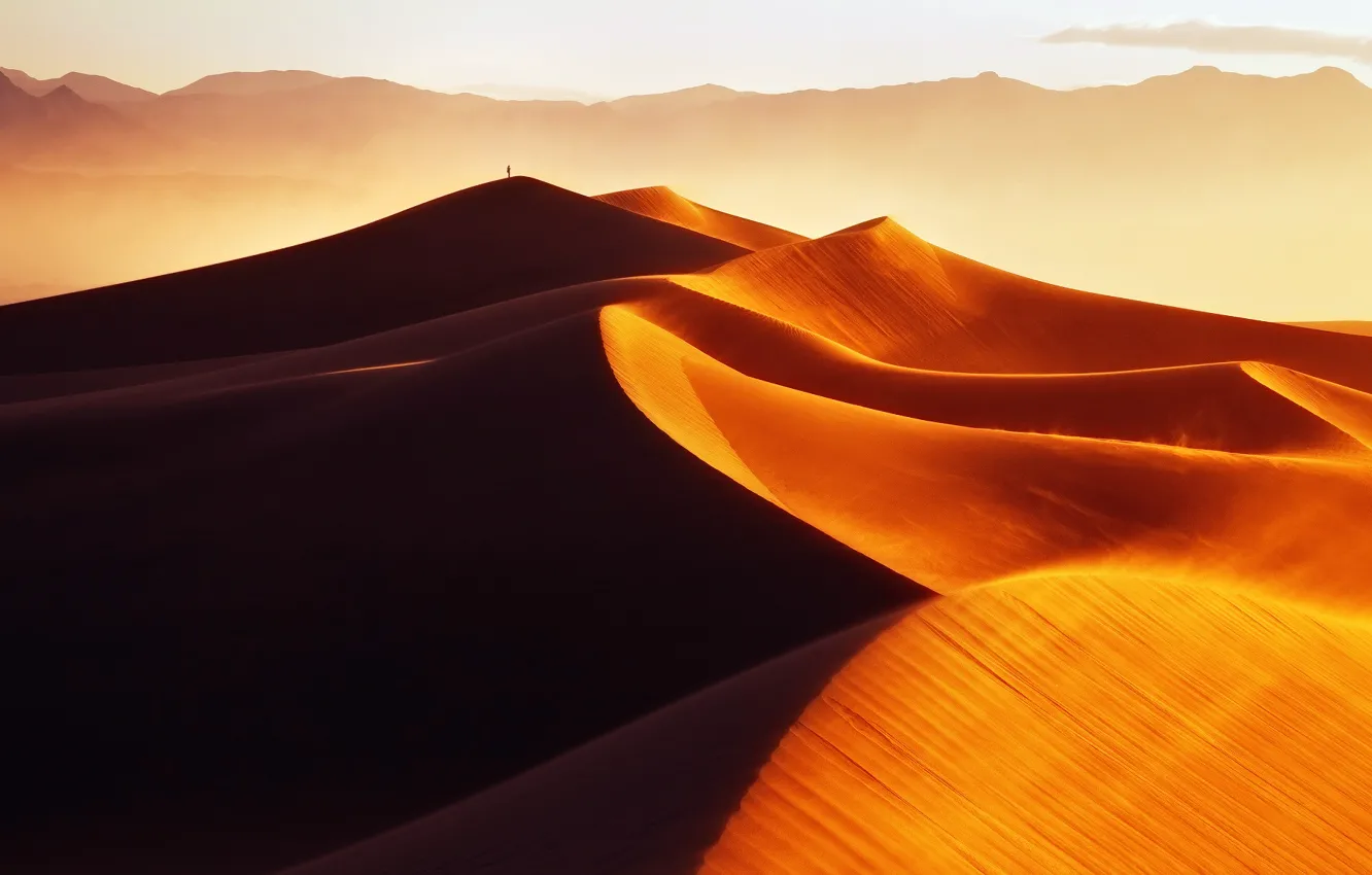 Photo wallpaper sand, light, the dunes, desert, people, morning, dunes, Golden Sands