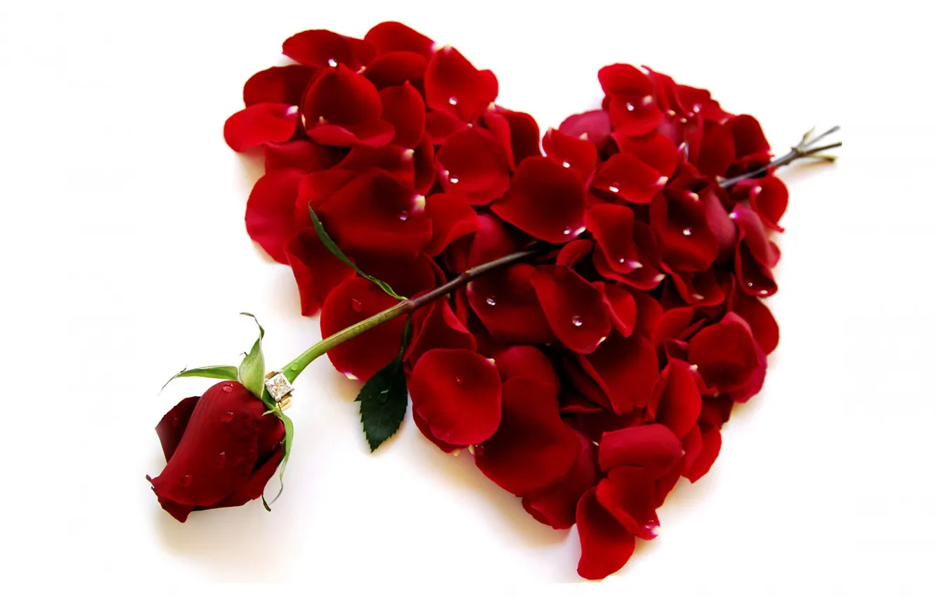 Photo wallpaper flowers, red, heart, roses, petals