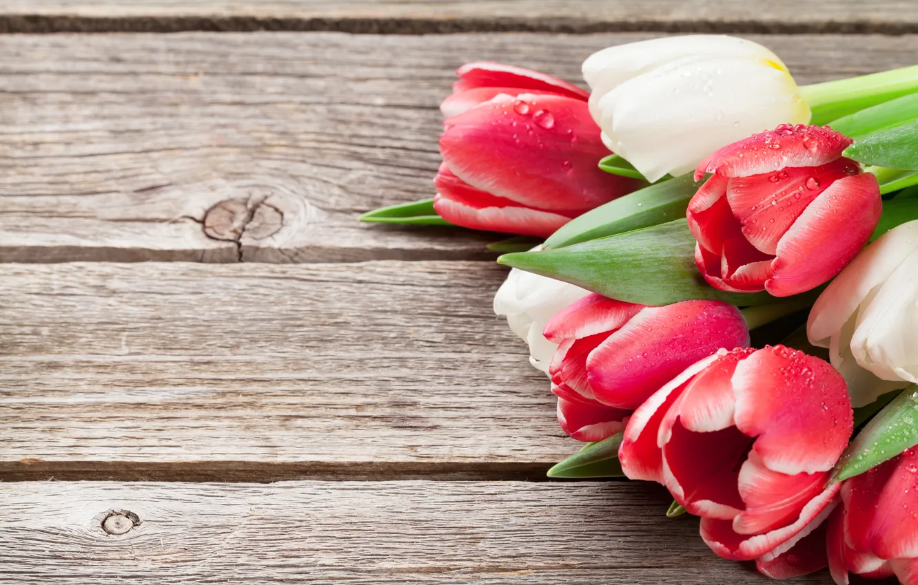 Photo wallpaper flowers, bouquet, tulips, red, white, wood, flowers, tulips