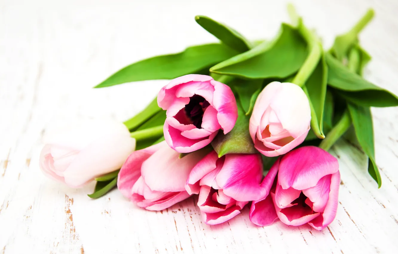 Photo wallpaper flowers, bouquet, tulips, pink, wood, pink, flowers, tulips