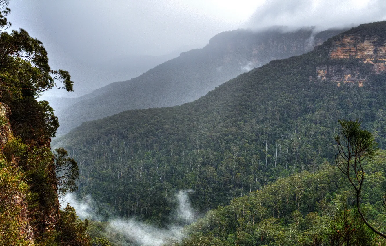 Photo wallpaper clouds, trees, mountains, fog, rocks, Australia, Sydney, forest