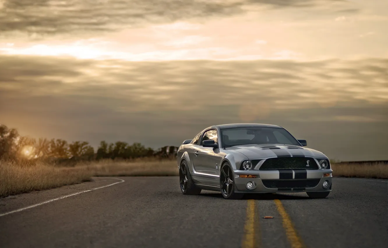 Photo wallpaper road, sunset, Mustang, Ford, Shelby, GT500, Mustang, silver