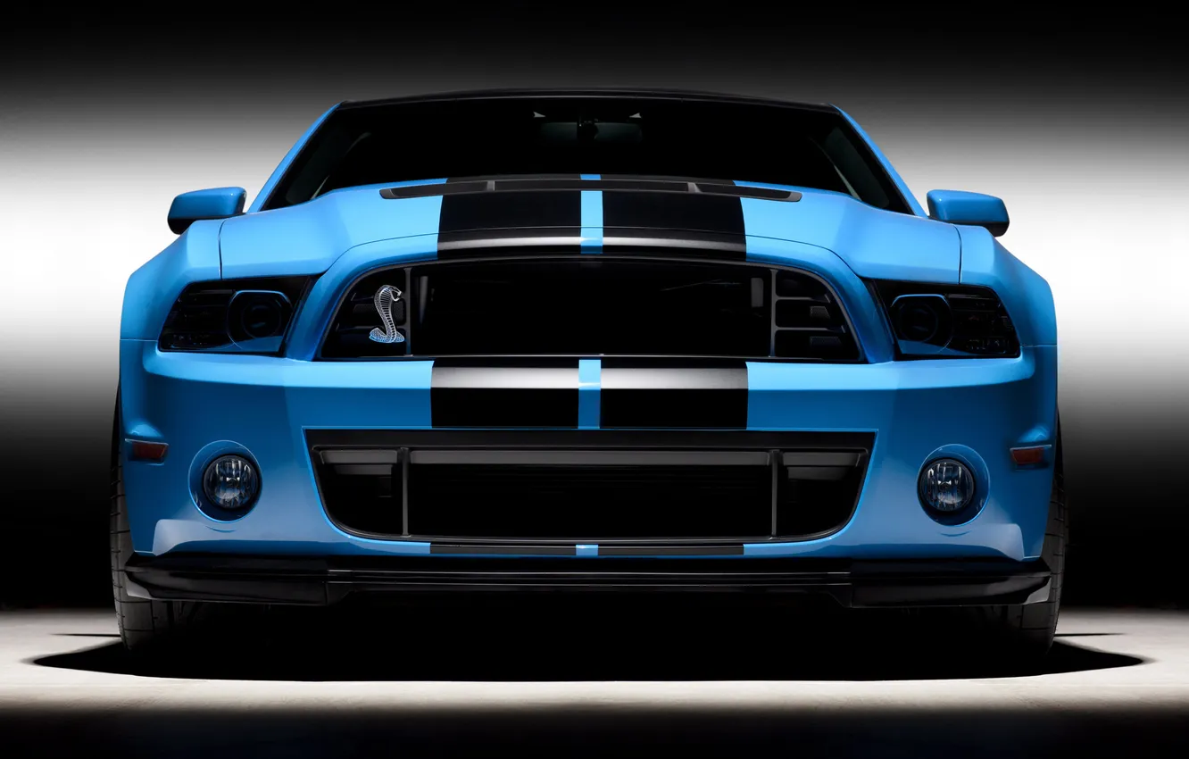 Photo wallpaper auto, photo, Wallpaper, cars, ford, shelby, Ford, cars
