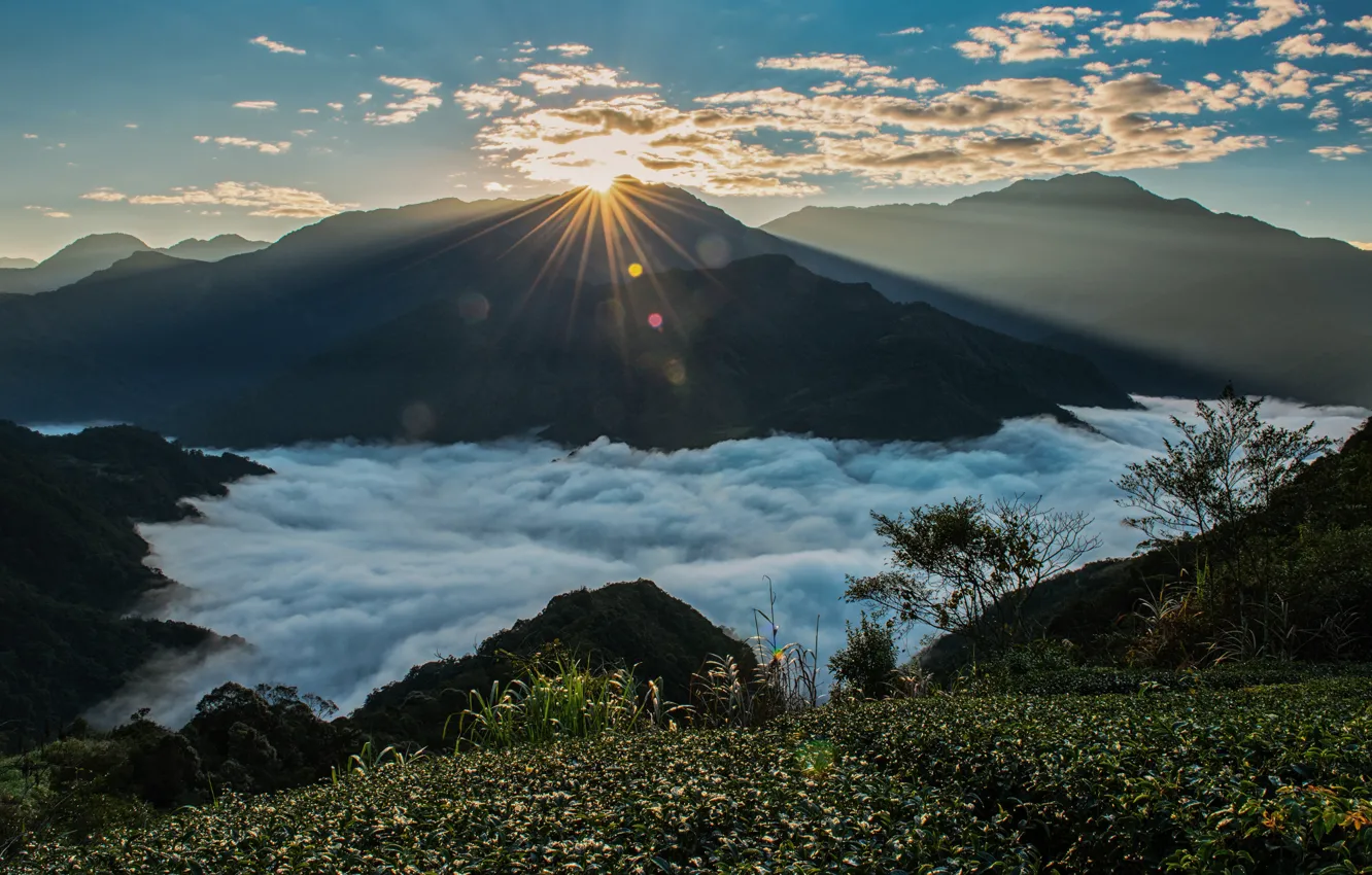 Photo wallpaper the sun, clouds, mountains, fog, dawn, vegetation, the slopes, height