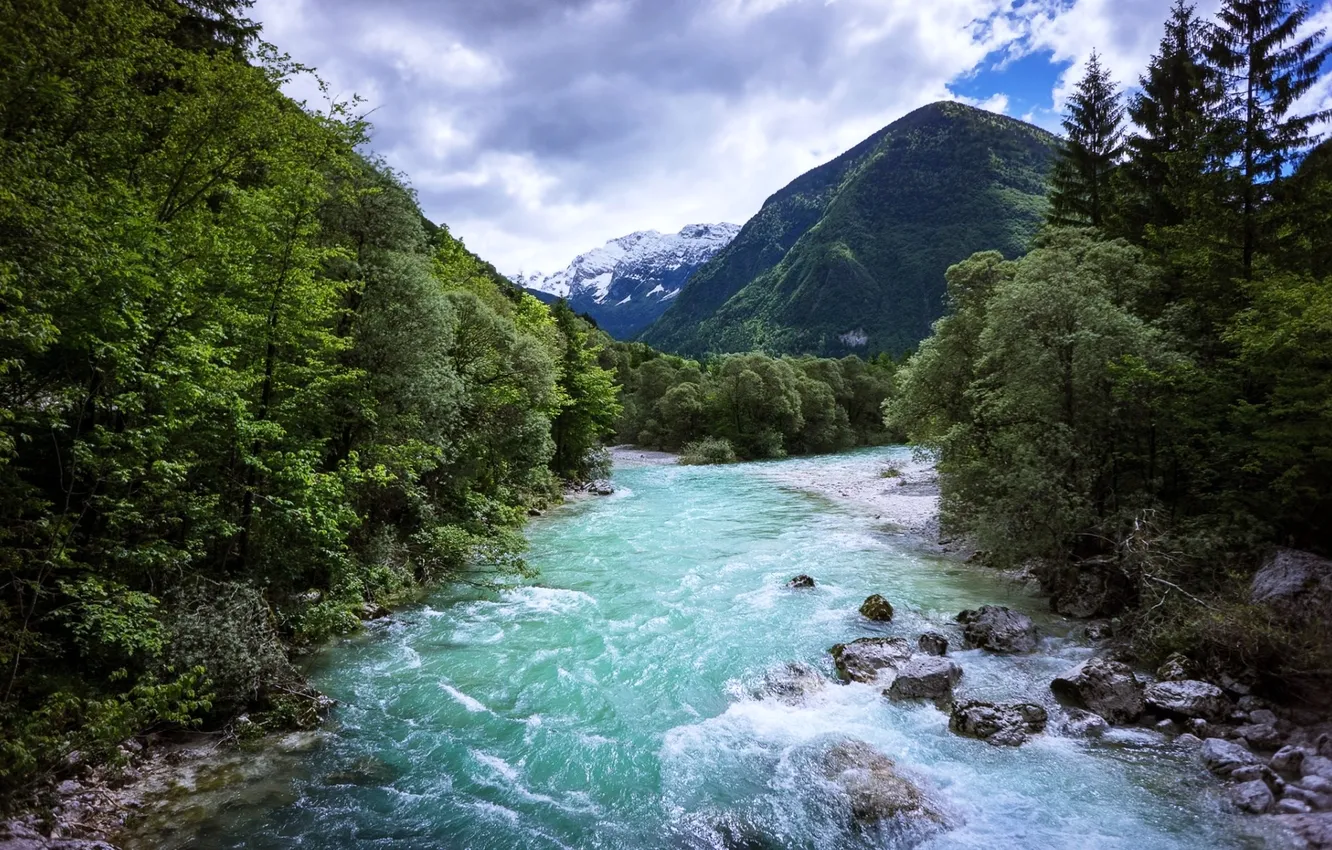 Photo wallpaper forest, the sky, clouds, landscape, mountains, nature, stones, plant